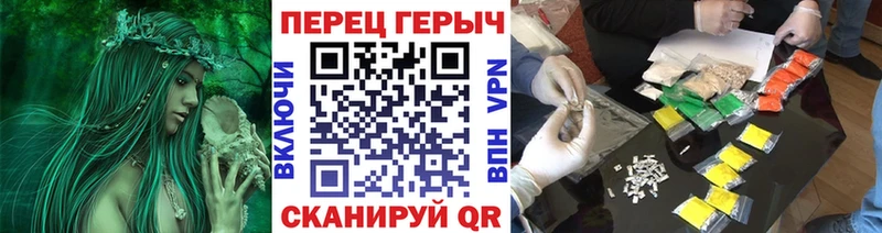 как найти закладки  Нарьян-Мар  дарк нет формула  Героин хмурый 