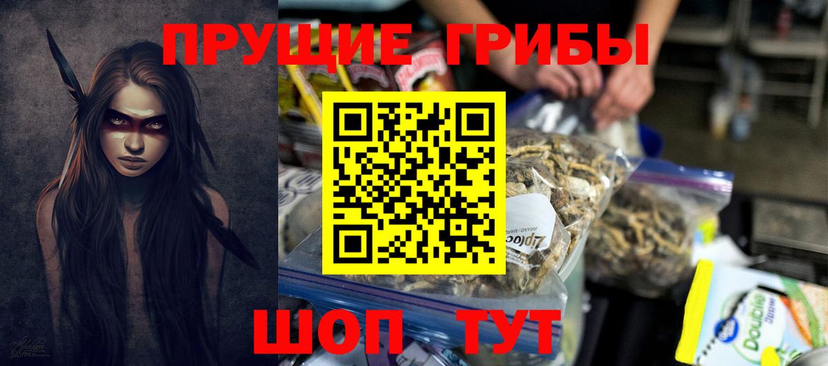 Нарьян-Мар  Галлюциногенные грибы Psilocybine cubensis  Вход с VPN 